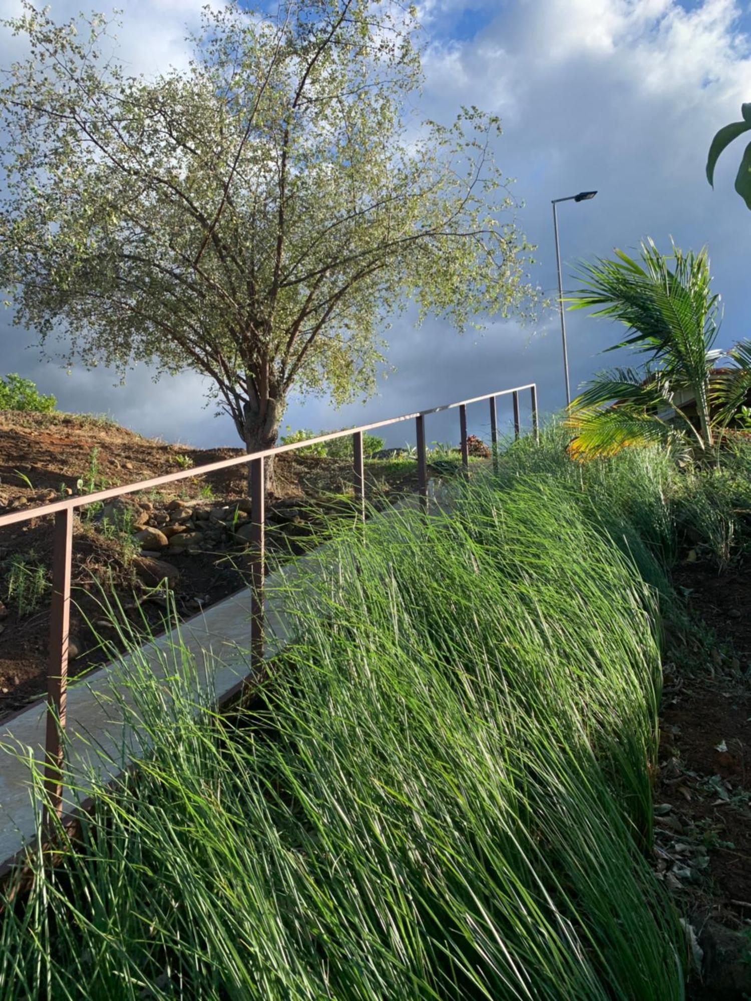Conectar Con La Naturaleza Esparza Eksteriør billede
